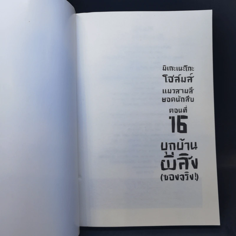 มิเกะเนะโกะ โฮล์มส์ : แมวสามสียอดนักสืบ ตอน 16 บุกบ้านผีสิง (ของจริง) รูปที่ 8