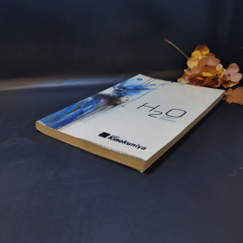 H2O ปรากฎการณ์แตกตัวของน้ำบนแผ่นกระดาษ - อนุสรณ์ ติปยานนท์ รูปที่ 7