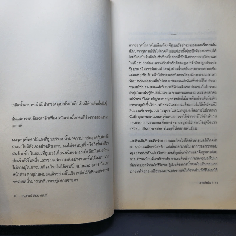 H2O ปรากฎการณ์แตกตัวของน้ำบนแผ่นกระดาษ - อนุสรณ์ ติปยานนท์ รูปที่ 10