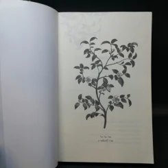 ประวัติศาสตร์โลกในถ้วยชา - Roy Moxham รูปที่ 8