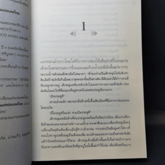 ซิงตึ๊ง - ประภัสสร เสวิกุล รูปที่ 11