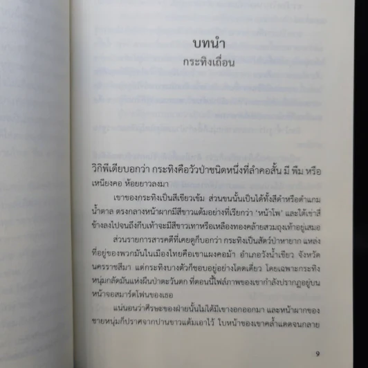 โหดหื่นหมื่นราตรี - อุมาริการ์ รูปที่ 9