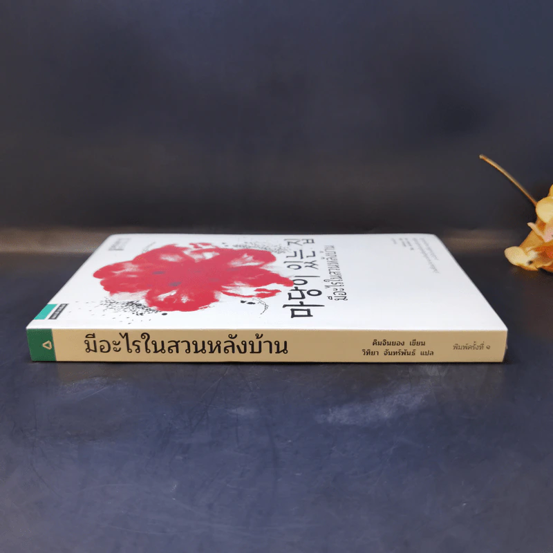 มีอะไรในสวนหลังบ้าน - คิมจินยอง รูปที่ 3