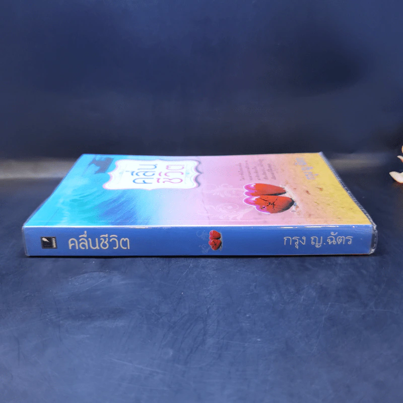คลื่นชีวิต - กรุง ญ ฉัตร รูปที่ 3