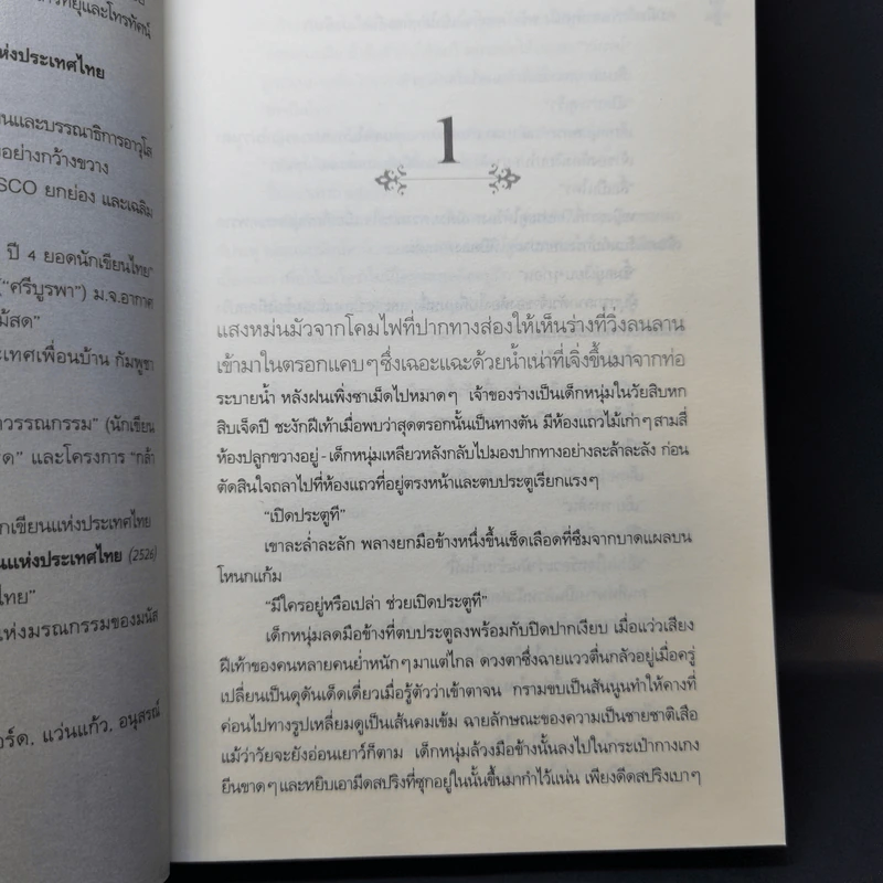 ซิงตึ๊ง - ประภัสสร เสวิกุล รูปที่ 11