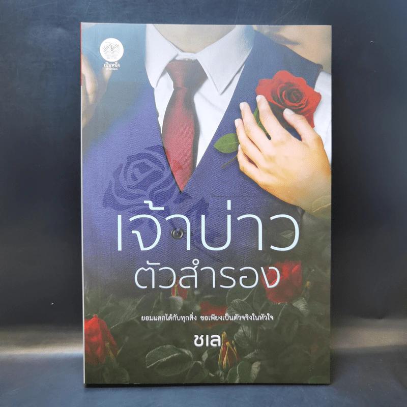 เจ้าบ่าวตัวสำรอง - ชเล รูปที่ 1