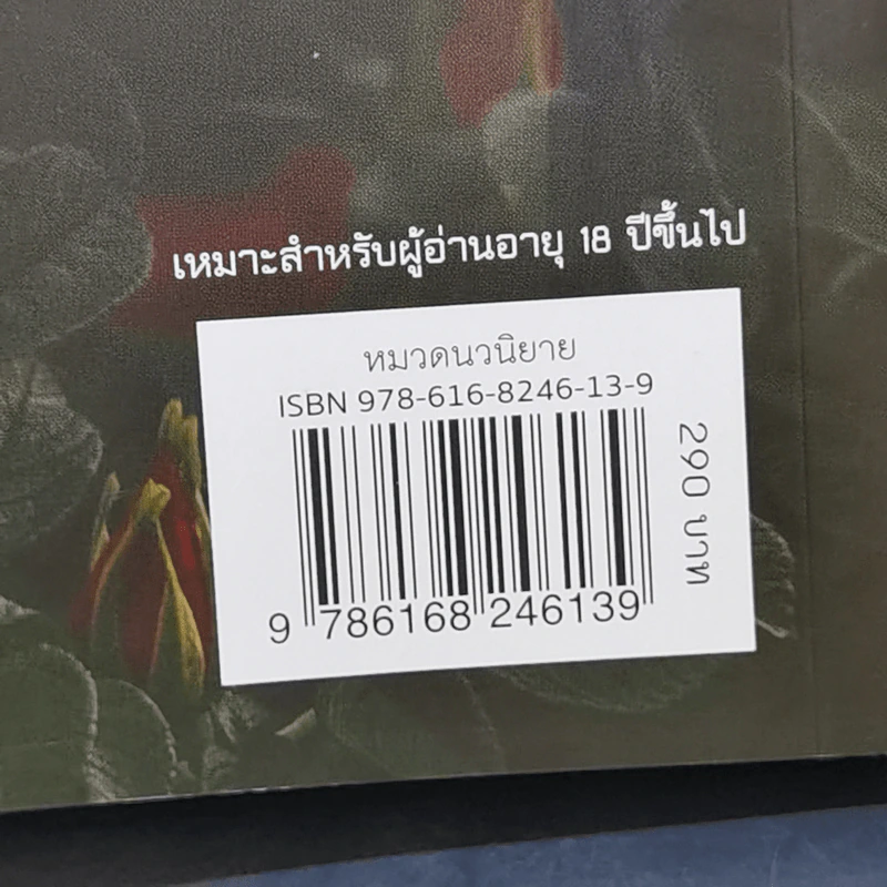 เจ้าบ่าวตัวสำรอง - ชเล รูปที่ 11