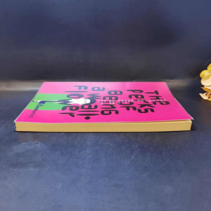 The Perks of Being a Wallflower : จดหมายรักจากนายไม้ประดับ - Stephen Chbosky (สตีเฟ่น ชบอสกี้) รูปที่ 5