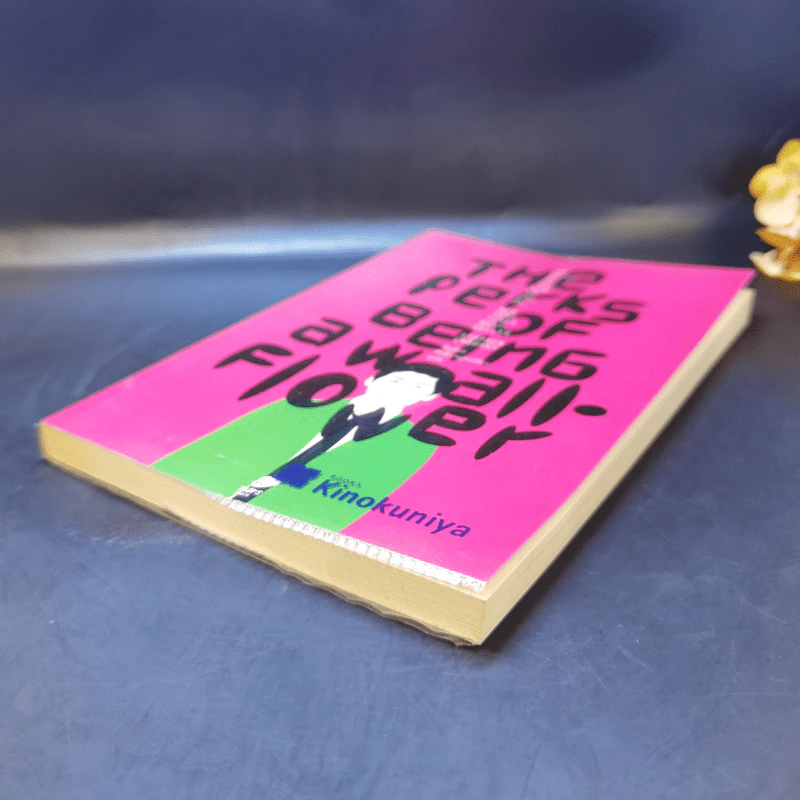 The Perks of Being a Wallflower : จดหมายรักจากนายไม้ประดับ - Stephen Chbosky (สตีเฟ่น ชบอสกี้) รูปที่ 7