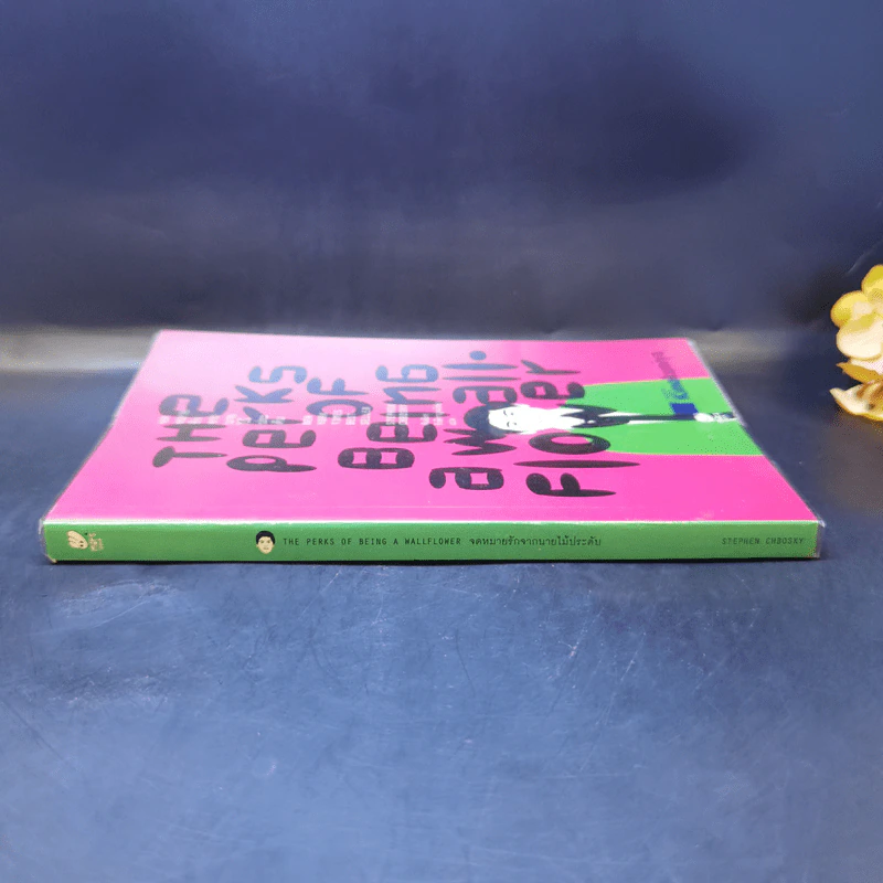 The Perks of Being a Wallflower : จดหมายรักจากนายไม้ประดับ - Stephen Chbosky (สตีเฟ่น ชบอสกี้) รูปที่ 3