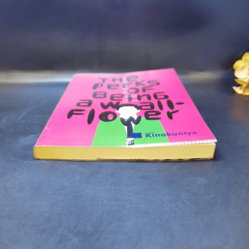 The Perks of Being a Wallflower : จดหมายรักจากนายไม้ประดับ - Stephen Chbosky (สตีเฟ่น ชบอสกี้) รูปที่ 4