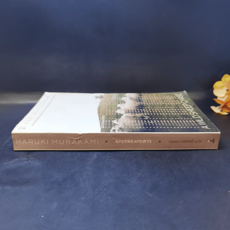 แกะรอย แกะดาว A Wild Sheep Chase - Haruki Murakami รูปที่ 3