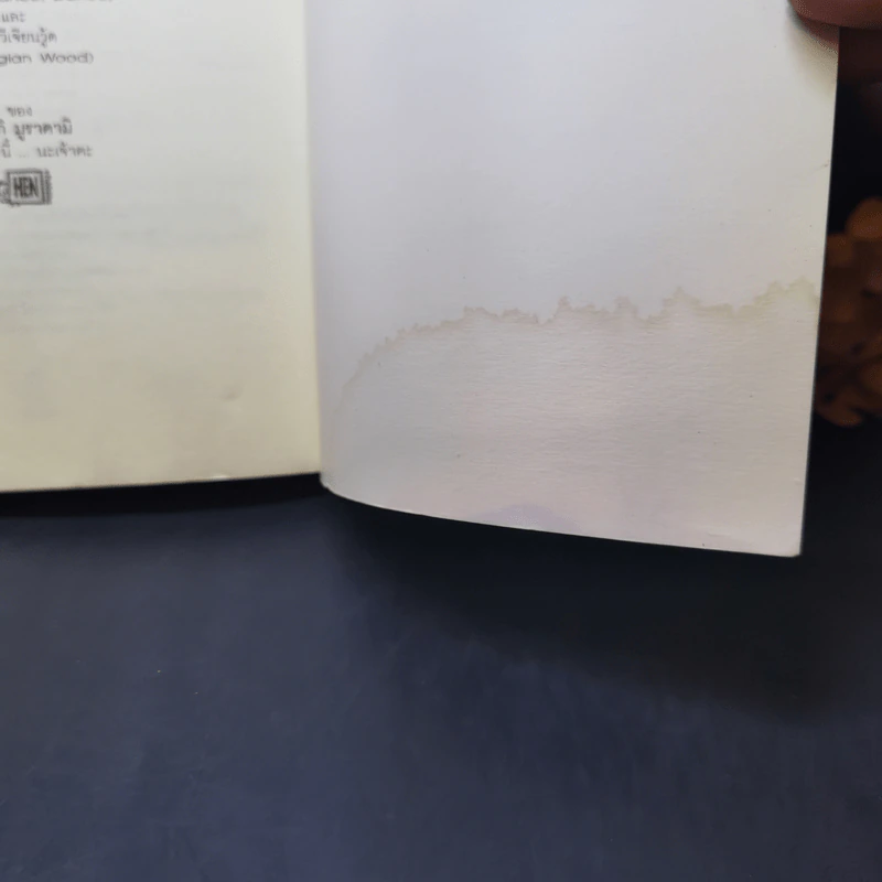 แกะรอย แกะดาว A Wild Sheep Chase - Haruki Murakami รูปที่ 13