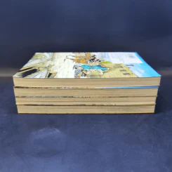 เจ้าสาวแห่งทางสายไหม เล่ม 1-4 รูปที่ 4