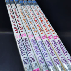 ตะวันรักที่ปลายฟ้า เล่ม 21,22,24,25,26,27,28 รูปที่ 7