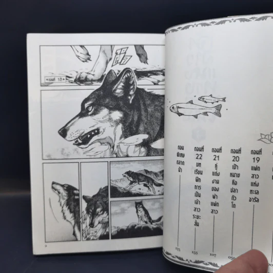เจ้าสาวแห่งทางสายไหม เล่ม 1-4 รูปที่ 10