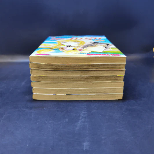 ตะวันรักที่ปลายฟ้า เล่ม 21,22,24,25,26,27,28 รูปที่ 3