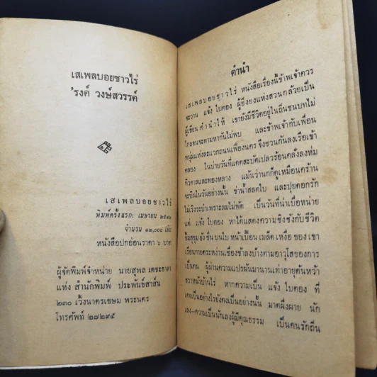 เสเพลบอยชาวไร่ - รงค์ วงษ์สวรรค์ รูปที่ 8