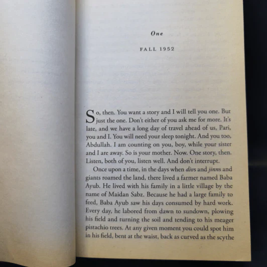 And the Mountains Echoed - Khaled Hosseini รูปที่ 9