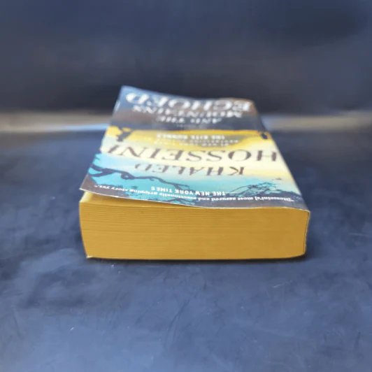 And the Mountains Echoed - Khaled Hosseini รูปที่ 6