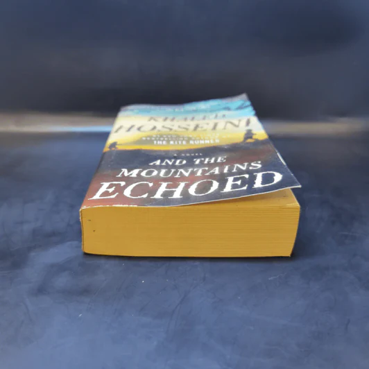 And the Mountains Echoed - Khaled Hosseini รูปที่ 4