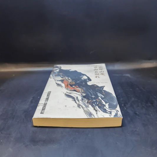 ฤดูหนาวเมื่อเราพราก : Last Winter, We Parted - Fuminori Nakamura รูปที่ 4