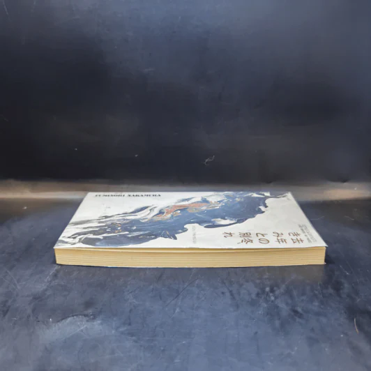 ฤดูหนาวเมื่อเราพราก : Last Winter, We Parted - Fuminori Nakamura รูปที่ 5