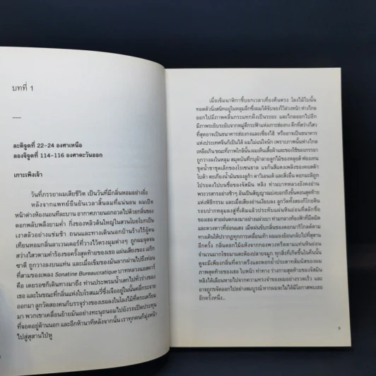 เพลงรักนิวตริโน - อนุสรณ์ ติปยานนท์ รูปที่ 10