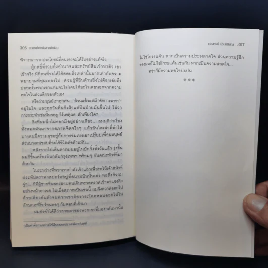 สะพานไผ่เหนือสายน้ำเชี่ยว - เสกสรรค์ ประเสริฐกุล รูปที่ 11