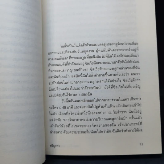 จนกว่าเราจะพบกันอีก - ศรีบูรพา รูปที่ 11