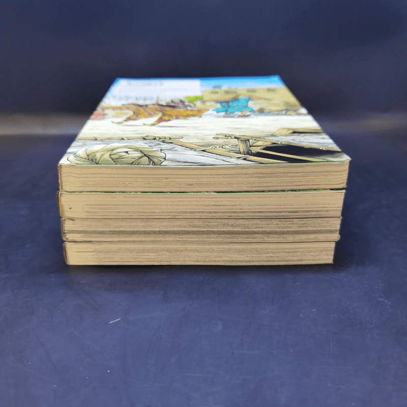 เจ้าสาวแห่งทางสายไหม เล่ม 1-4 รูปที่ 3