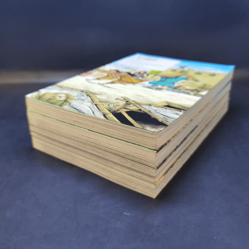 เจ้าสาวแห่งทางสายไหม เล่ม 1-4 รูปที่ 6