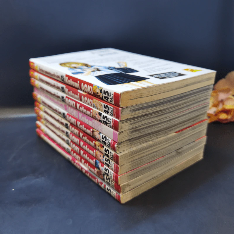 รักวุ่นวายของนายตัวป่วน เล่ม 1-10 รูปที่ 7