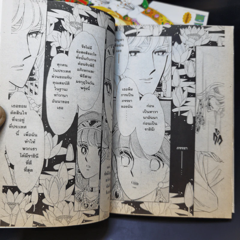 ตะวันรักที่ปลายฟ้า เล่ม 21,22,24,25,26,27,28 รูปที่ 11