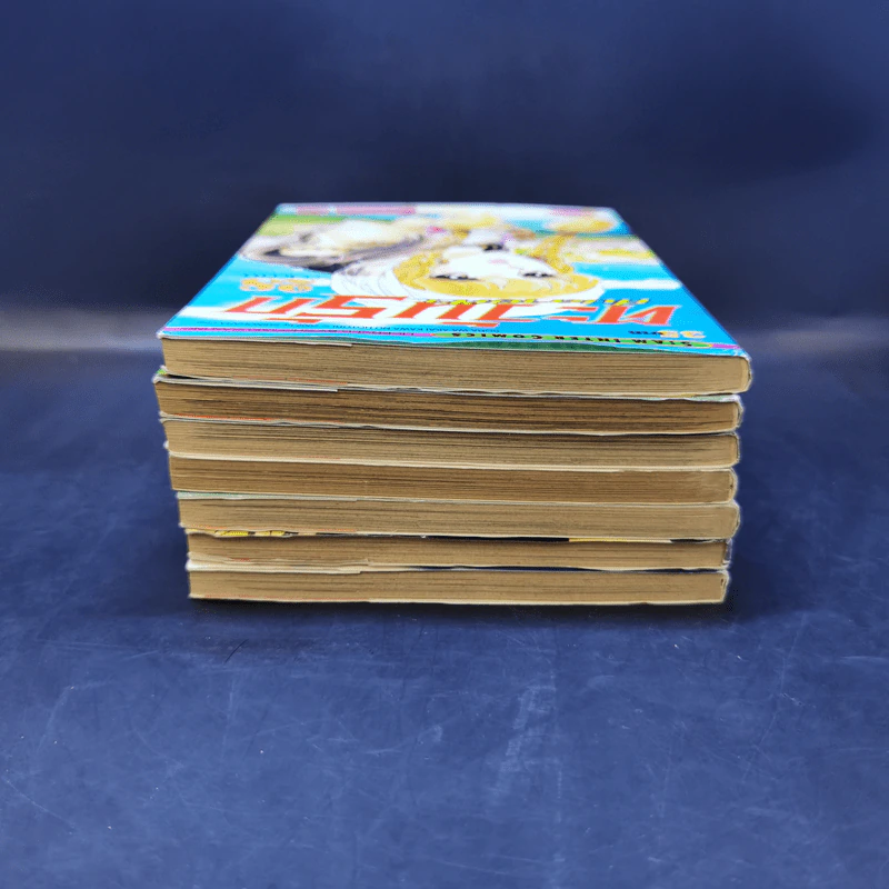 ตะวันรักที่ปลายฟ้า เล่ม 21,22,24,25,26,27,28 รูปที่ 5