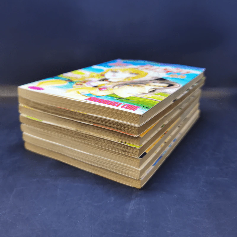 ตะวันรักที่ปลายฟ้า เล่ม 21,22,24,25,26,27,28 รูปที่ 6