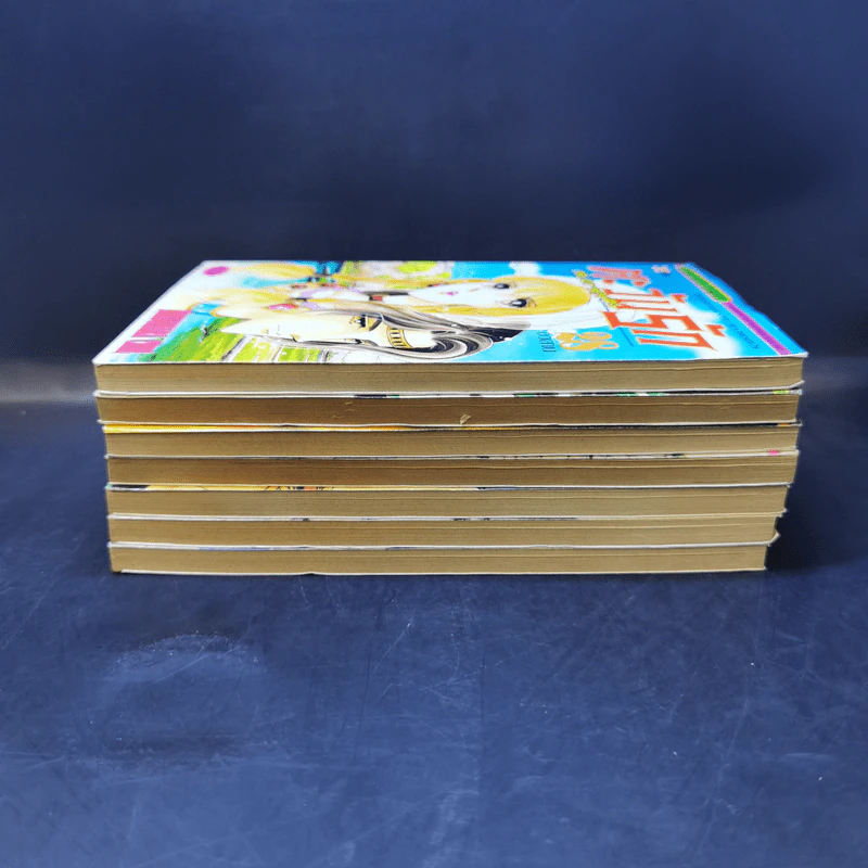 ตะวันรักที่ปลายฟ้า เล่ม 21,22,24,25,26,27,28 รูปที่ 4