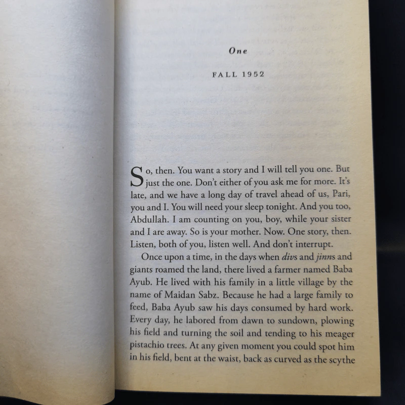 And the Mountains Echoed - Khaled Hosseini รูปที่ 9
