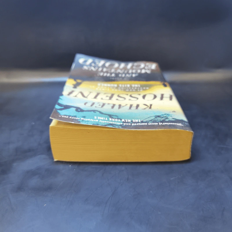 And the Mountains Echoed - Khaled Hosseini รูปที่ 6