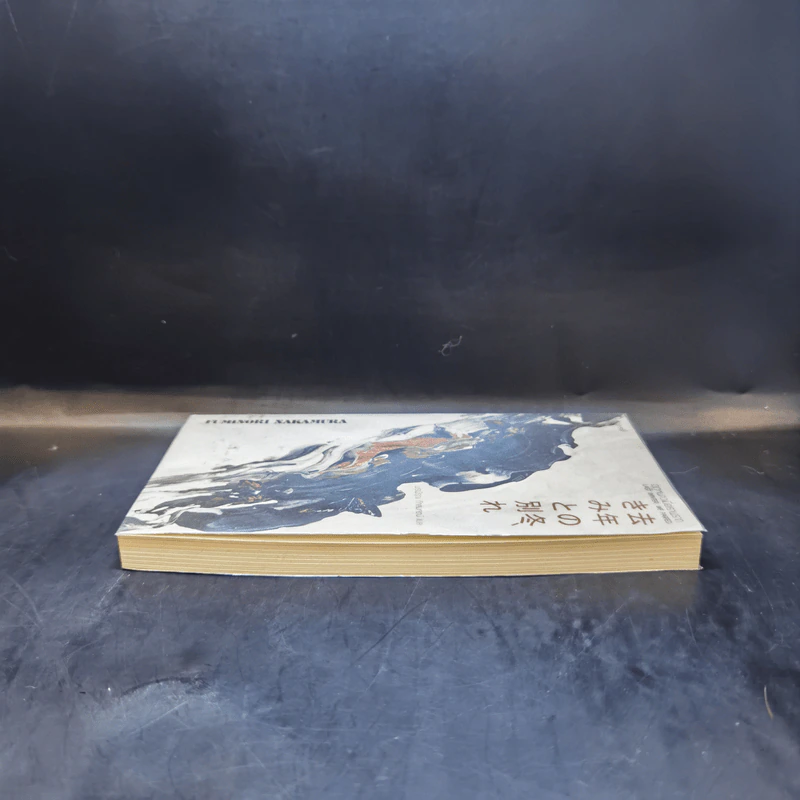 ฤดูหนาวเมื่อเราพราก : Last Winter, We Parted - Fuminori Nakamura รูปที่ 5