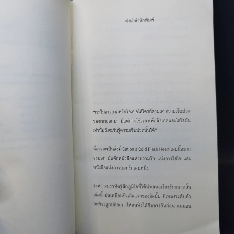 Cat on A Cold Flesh Heart - อนุสรณ์ ติปยานนท์ รูปที่ 10