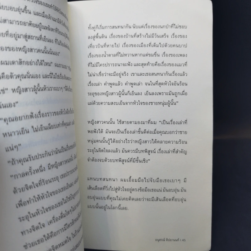 Cat on A Cold Flesh Heart - อนุสรณ์ ติปยานนท์ รูปที่ 12