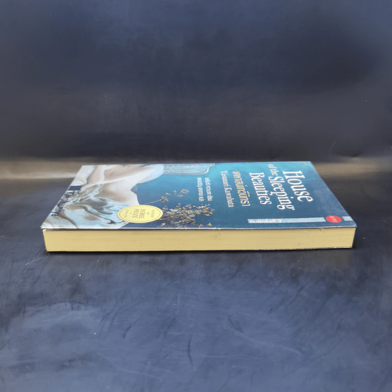 House of the Sleeping Beauties เคหาสน์เทวีนิทรา - Yasunari Kawabata (ยาสึนาริ คาวาบาตะ) รูปที่ 5