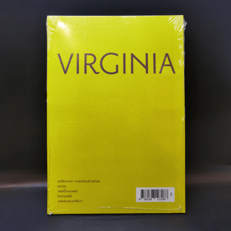 สตรีในกระจก : ภาพสะท้อนห้วงคำนึง และเรื่องสั้นคัดสรรอื่น ๆ - Virginia Woolf (เวอร์จิเนีย วูล์ฟ) รูปที่ 2