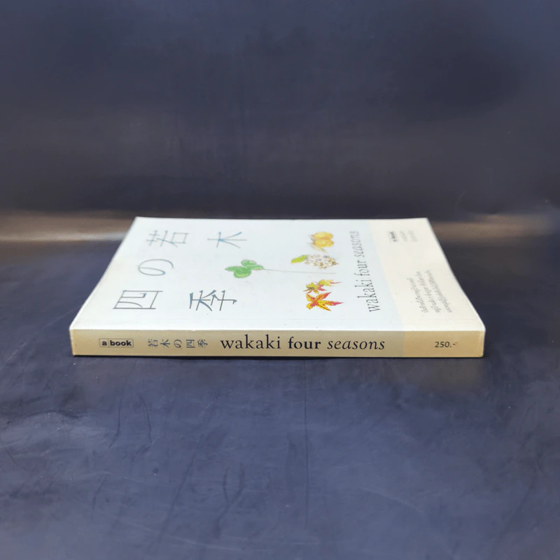 Wakaki four Seasons - เบญจมาศ ภู่ประเสริฐ รูปที่ 3
