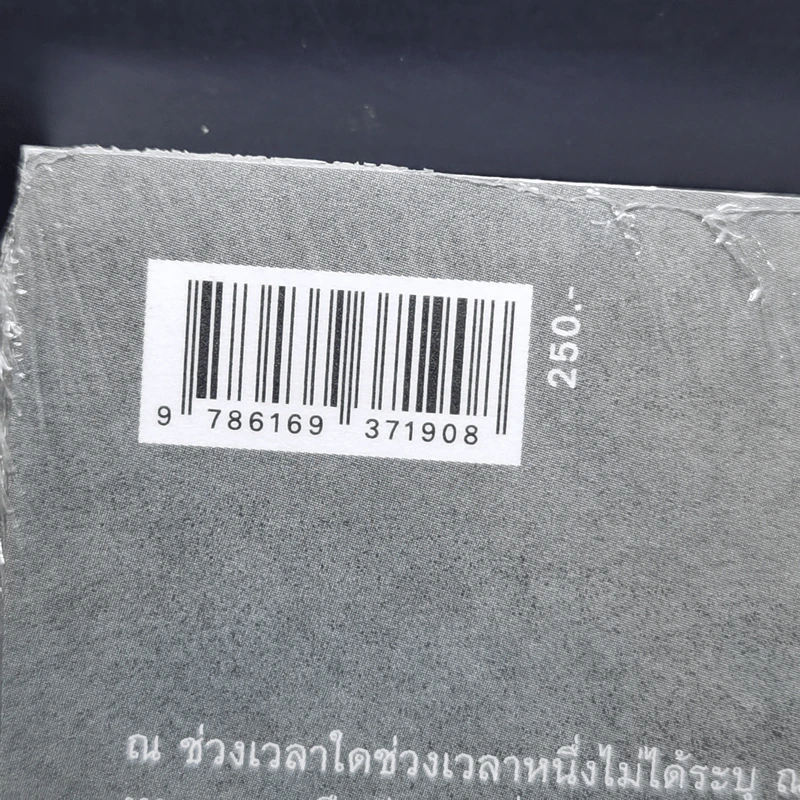 เมืองในหมอก - อนุสรณ์ ติปยานนท์ รูปที่ 9