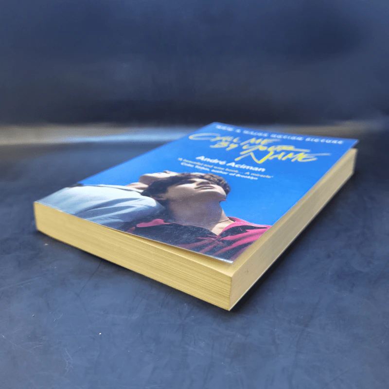 Call Me by Your Name - Andre Aciman รูปที่ 7