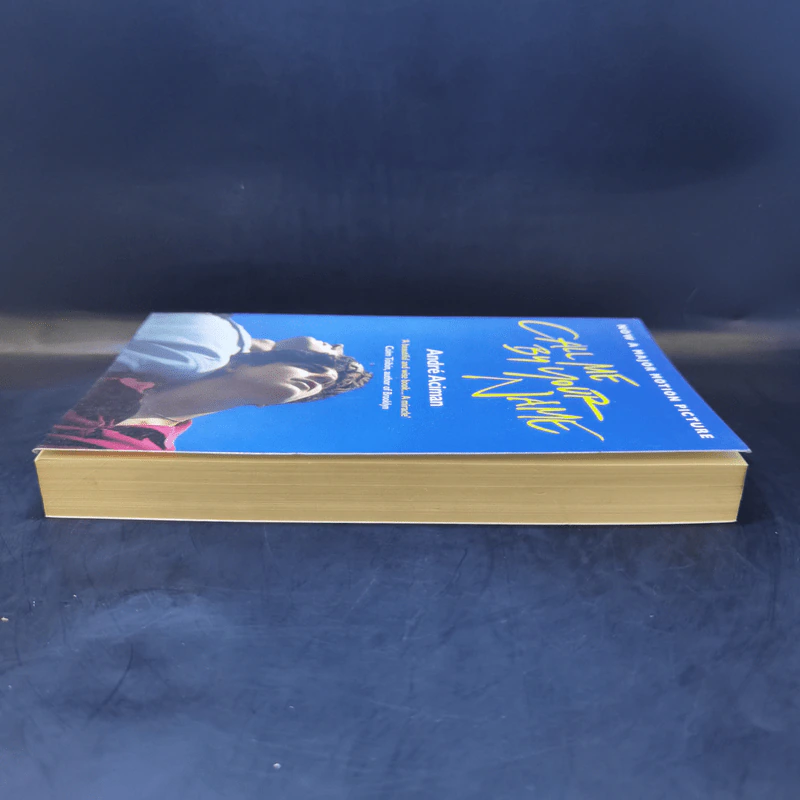 Call Me by Your Name - Andre Aciman รูปที่ 5