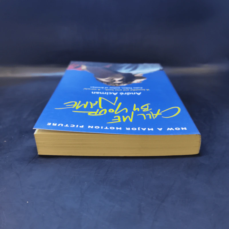 Call Me by Your Name - Andre Aciman รูปที่ 6