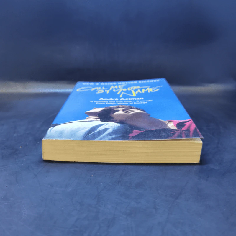 Call Me by Your Name - Andre Aciman รูปที่ 4